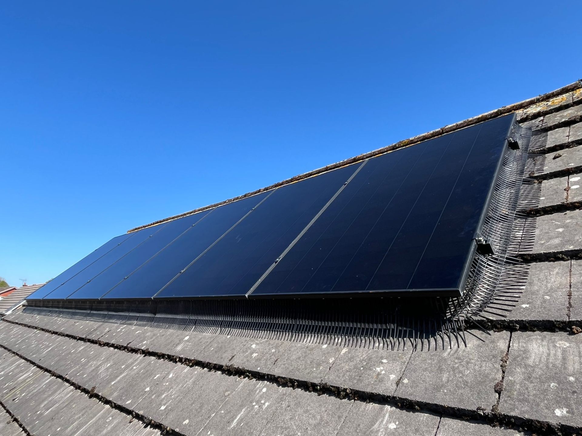 Solar panel installation bird proofing — Makse Electrical & Renewables project photo