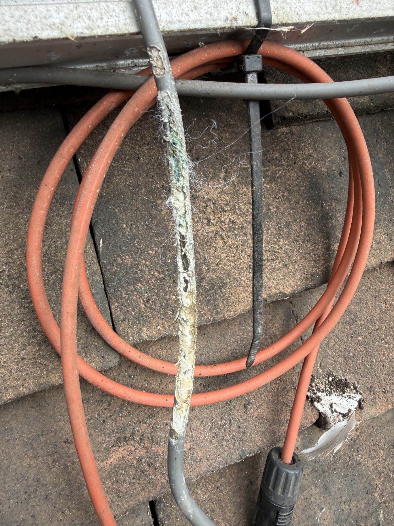 Solar panel repairs perished dc cable — Makse Electrical & Renewables project photo